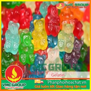 GELATINE – DÙNG TRONG THỰC PHẨM A250 HCBRVT