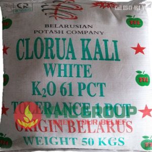 PHÂN KALI CLORUA - KCL (MOP) HCBRVT - Ảnh 6