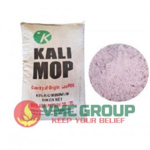 PHÂN KALI CLORUA - KCL (MOP) HCBRVT - Ảnh 2
