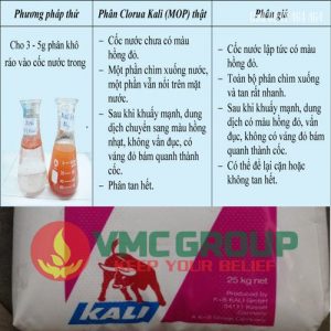 PHÂN KALI CLORUA - KCL (MOP) HCBRVT - Ảnh 3