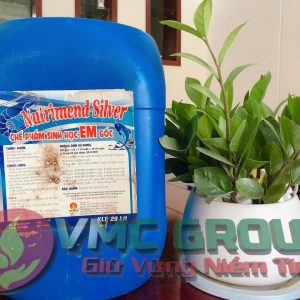 CHẾ PHẨM SINH HỌC EM GỐC NUTRIMEND SLIVER HCBRVT - Ảnh 3