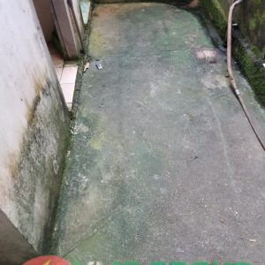 ALGAE CIDE- HÓA CHẤT DIỆT RÊU TẢO, NẤM MỐC-HCBRVT - Ảnh 2