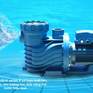 MÁY BƠM NƯỚC BỂ BƠI AQUA DÒNG HCBT - Ảnh 4